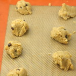 Chocolate Chip Coconut Flour Cookies