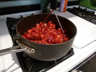 Strawberry Oat Squares Take 1