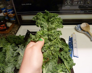 How to Make Kale Chips