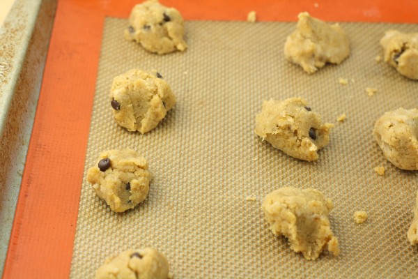 Chocolate Chip Coconut Flour Cookies