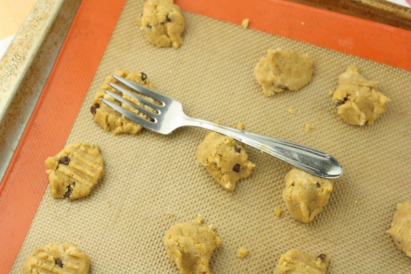 Chocolate Chip Coconut Flour Cookies