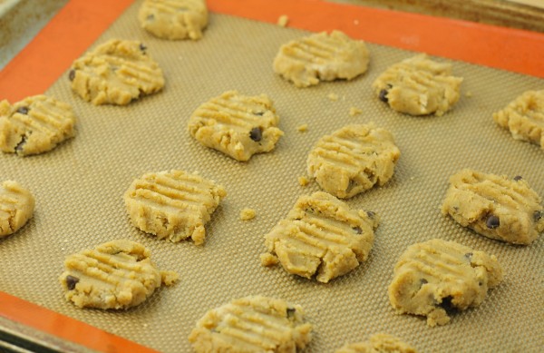 Chocolate Chip Coconut Flour Cookies