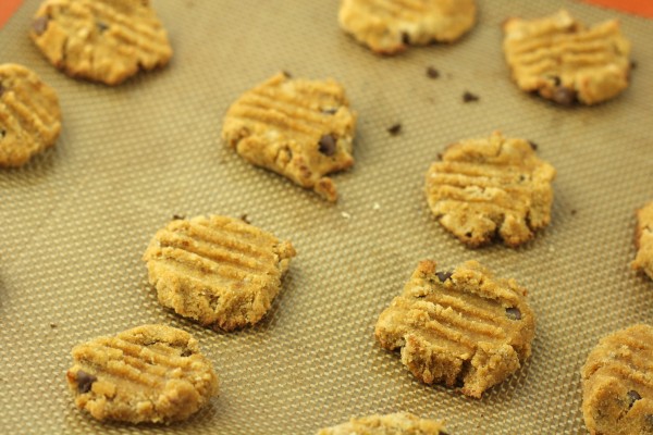 Chocolate Chip Coconut Flour Cookies