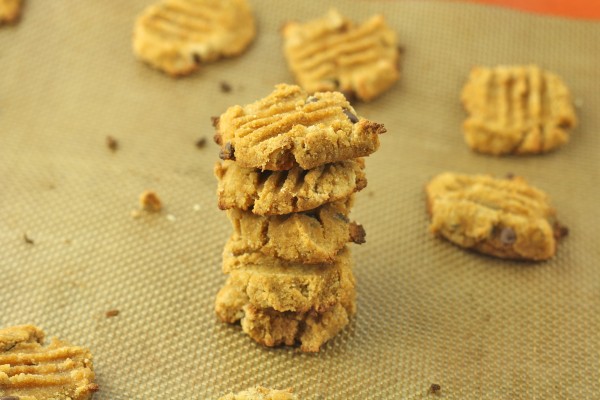 Chocolate Chip Coconut Flour Cookies