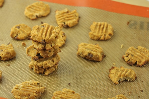 Chocolate Chip Coconut Flour Cookies