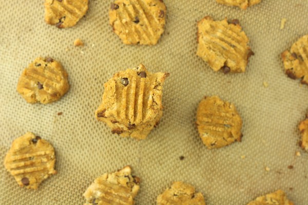 Chocolate Chip Coconut Flour Cookies