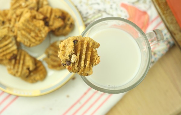 Chocolate Chip Coconut Flour Cookies