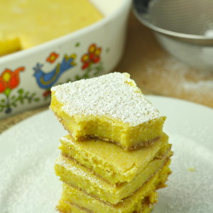 Healthy Lemon Bars (Low Carb/Low Calorie/Gluten Free/Paleo/Vegan)