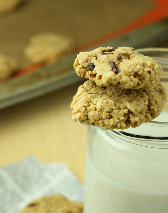 Olive Oil Cookies 4