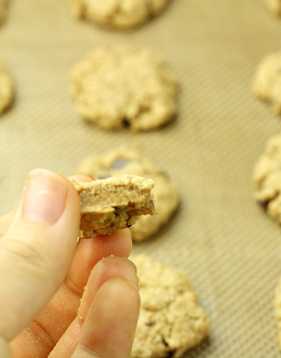 Olive Oil Cookies 7