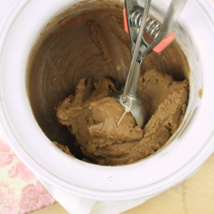 Protein Ice Cream