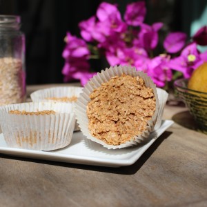 Vanilla Wheat Bran Muffins