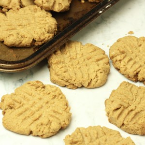 Low Carb Peanut Butter Cookies