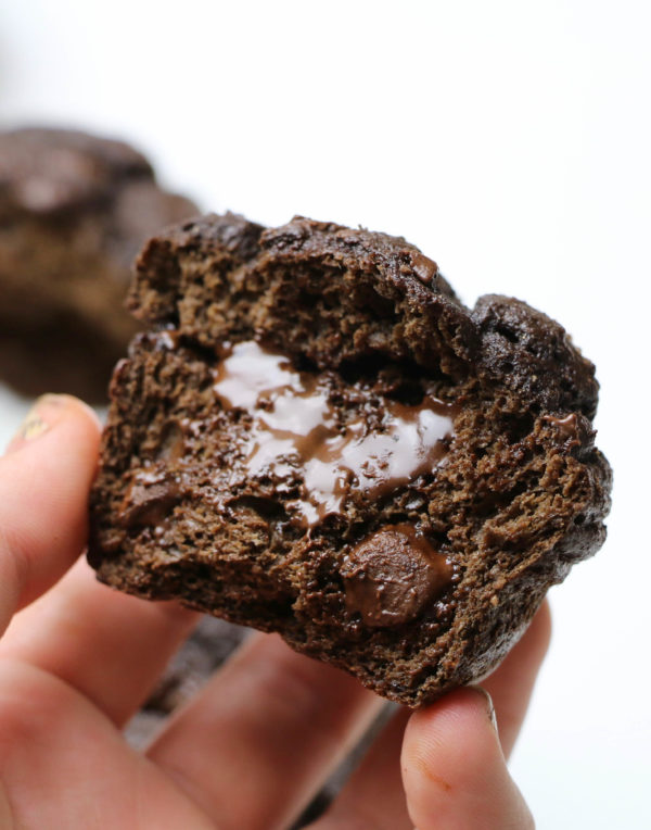 High Protein Double Chocolate Muffins (Low Carb/Dairy Free/Gluten Free)