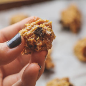 Coconut Chocolate Chip Protein Bites